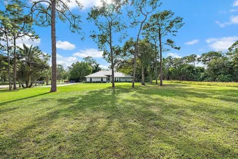 a view of a park with large trees