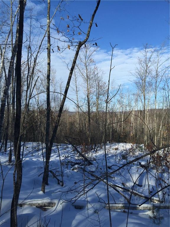 8-acres Bond Spring Road West Newfield, ME 04095 - Photo 10 of 13 Photo