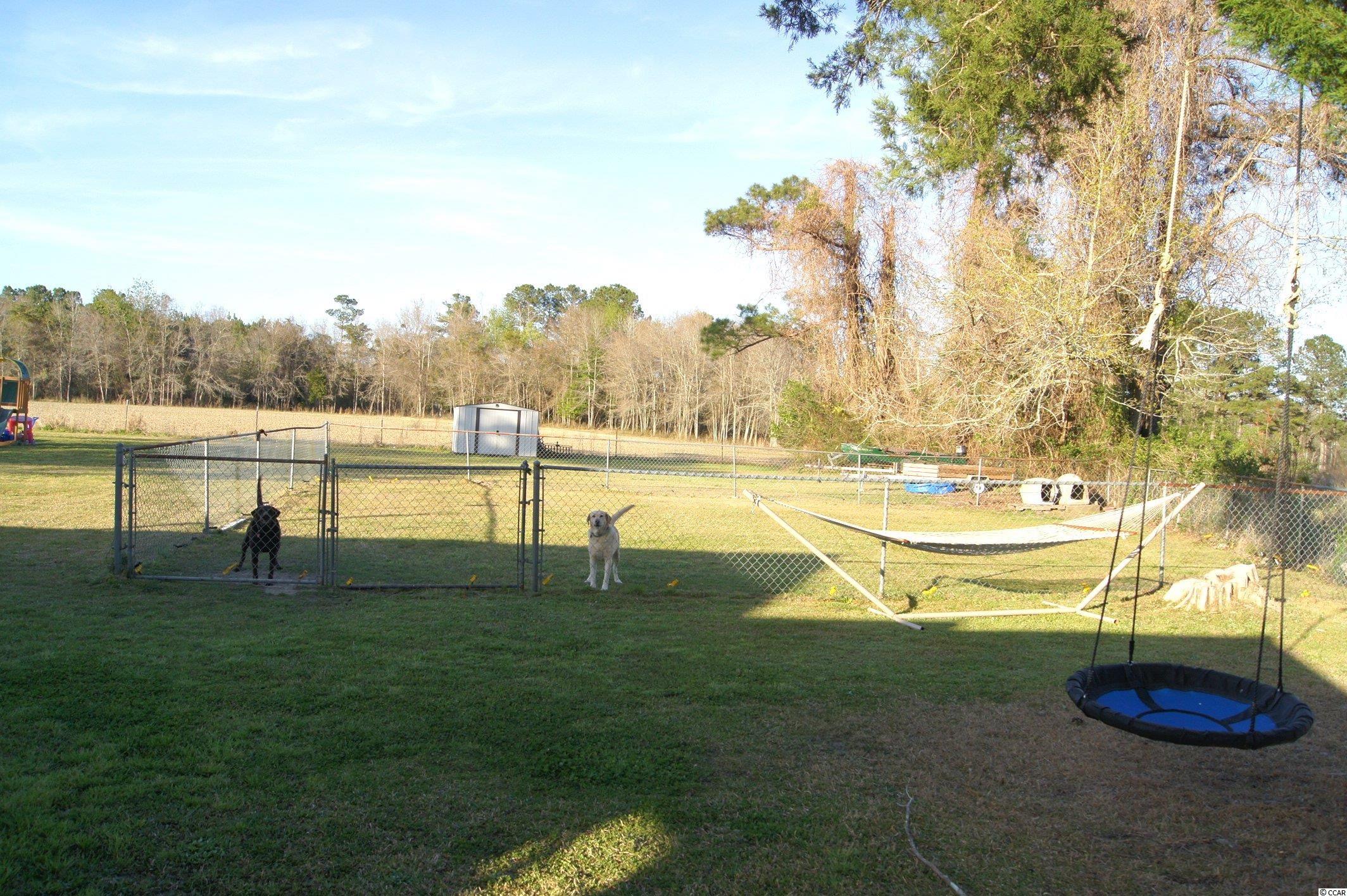 226 Wister Road Hemingway, SC 29554 - Photo 11 of 17