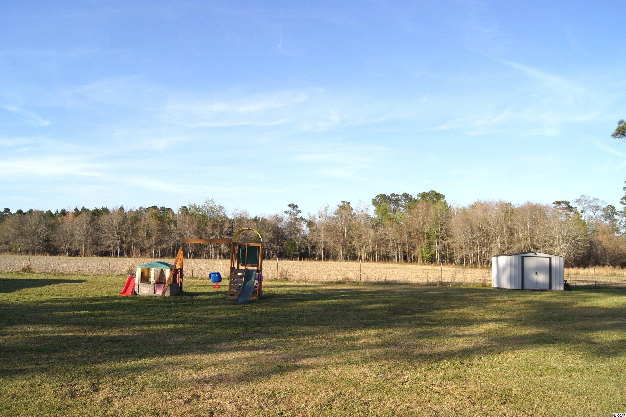 226 Wister Road Hemingway, SC 29554 - Photo 13 of 17