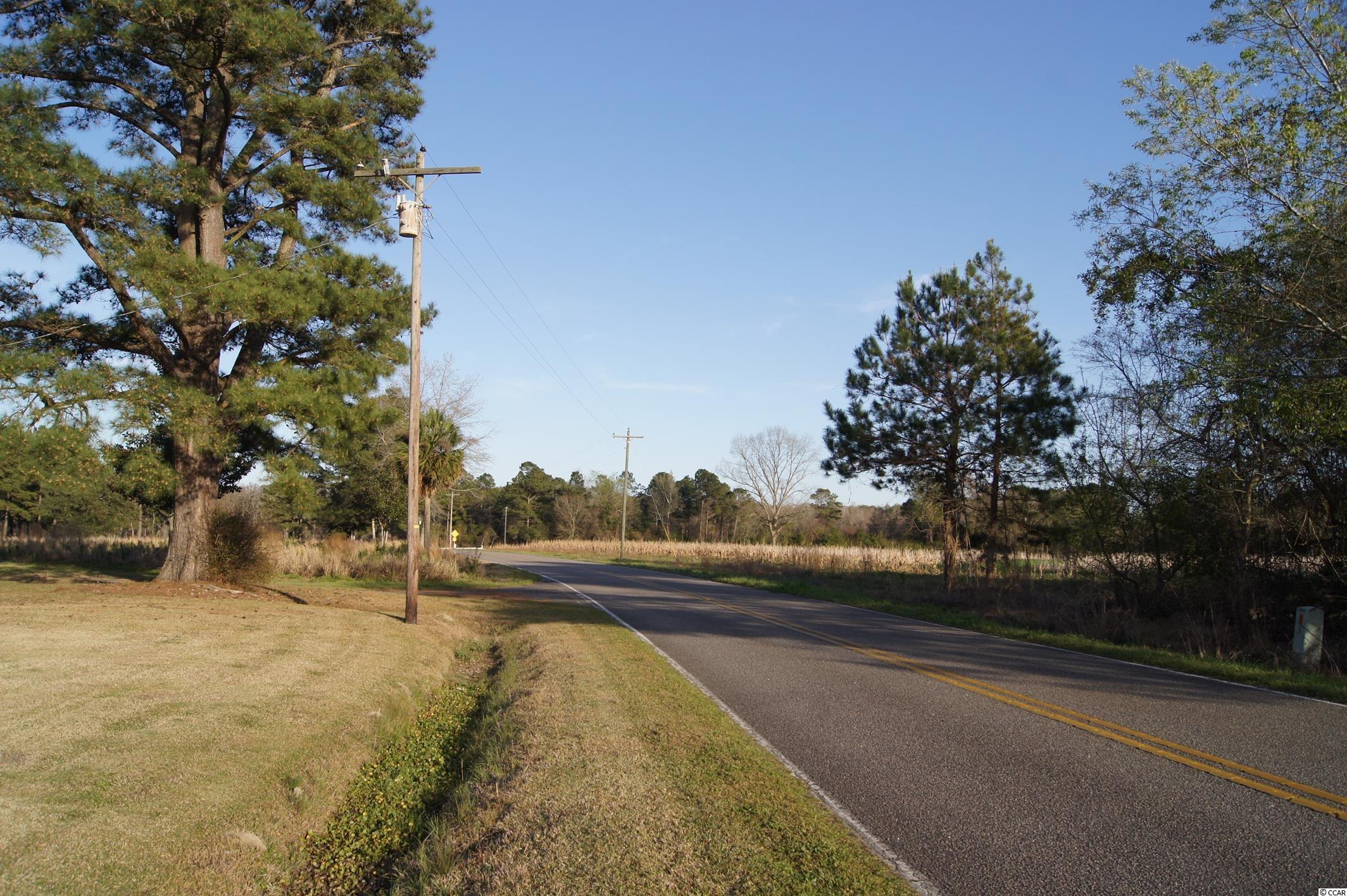 226 Wister Road Hemingway, SC 29554 - Photo 15 of 17