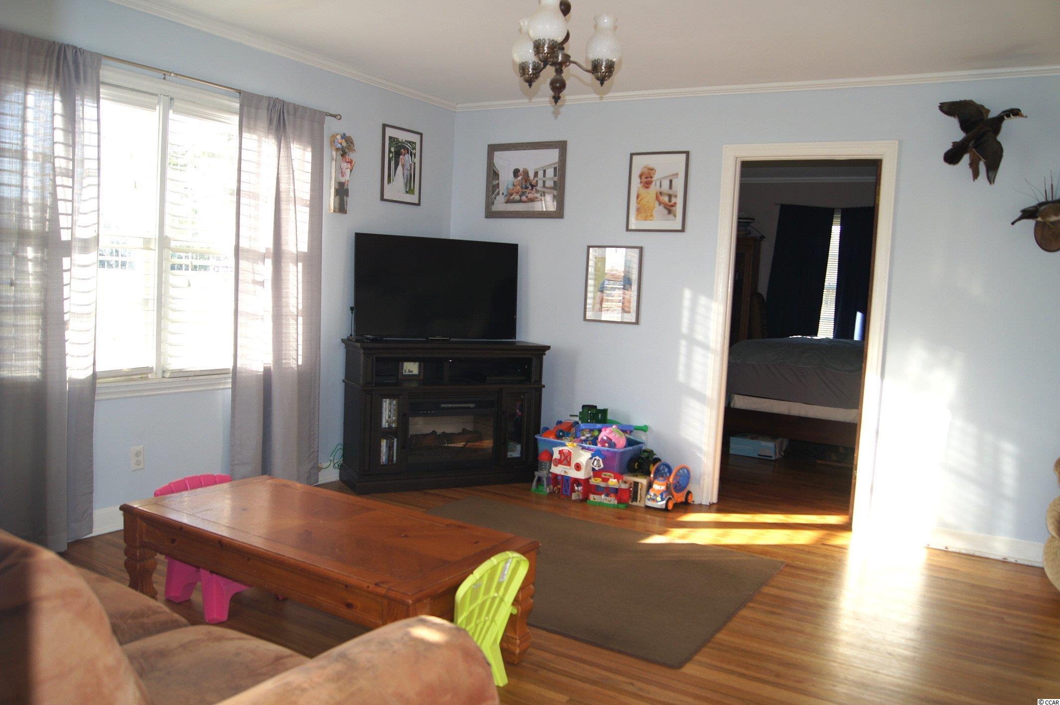 226 Wister Road Hemingway, SC 29554 - Photo 2 of 17