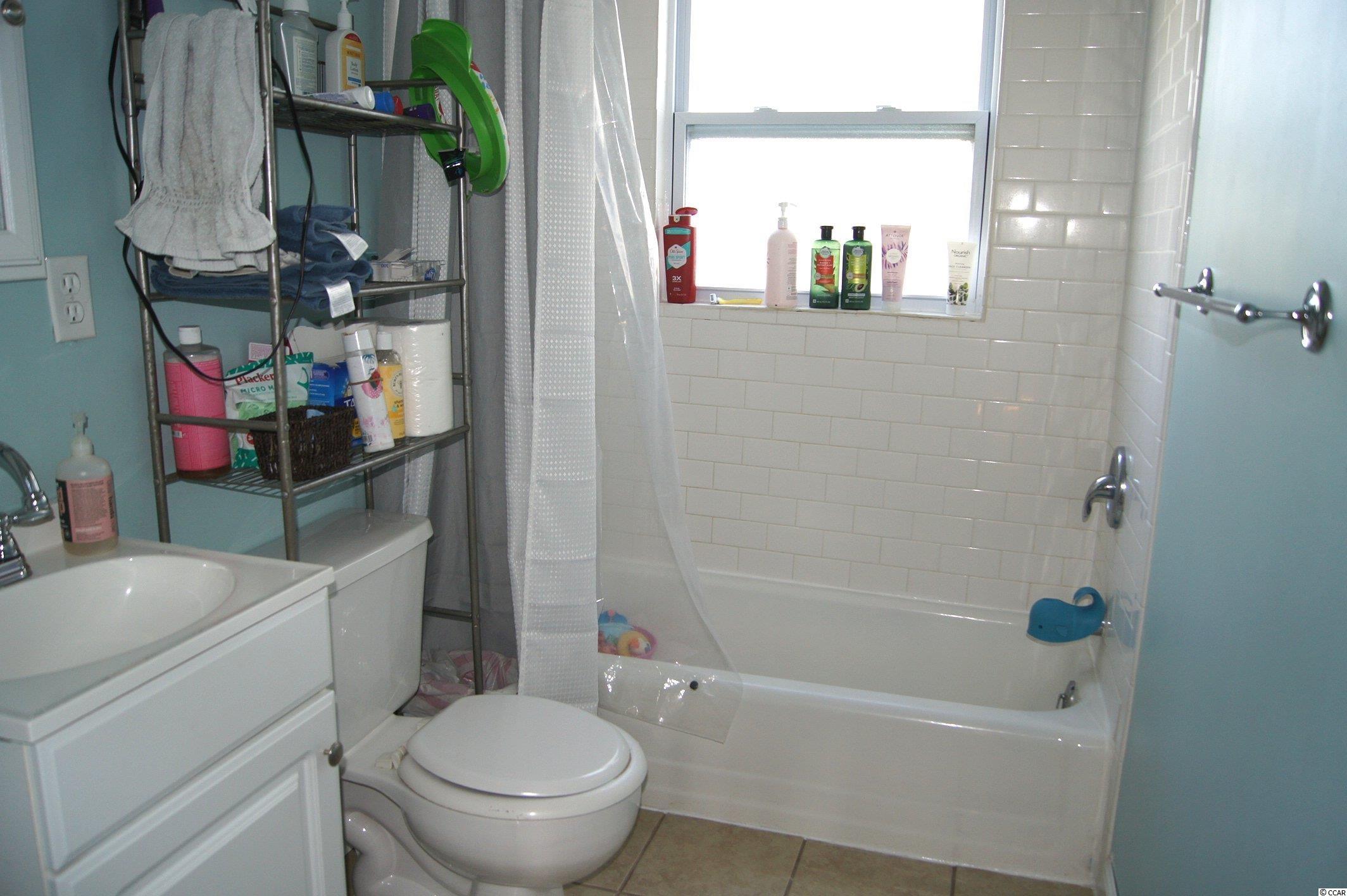 226 Wister Road Hemingway, SC 29554 - Photo 10 of 17