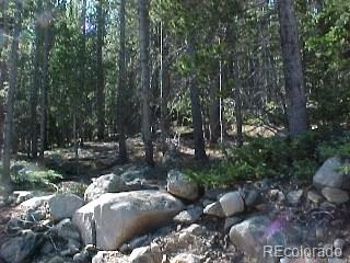 218 Upper Forest Road Idaho Springs, CO 80452 - Photo 1 of 1 Gallery Image 1