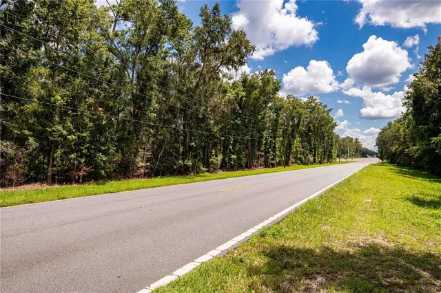 a view of a yard with yellow space