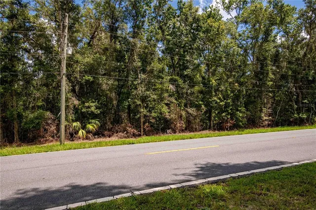 a view of a swimming pool with a yard and large trees