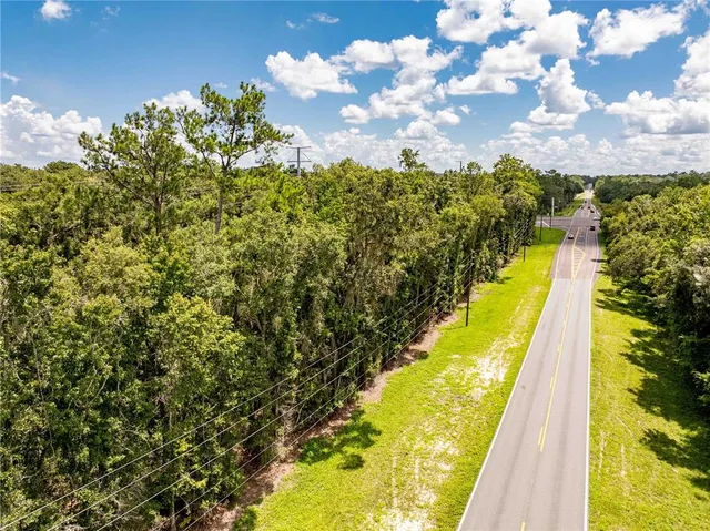 a view of a garden with flowers