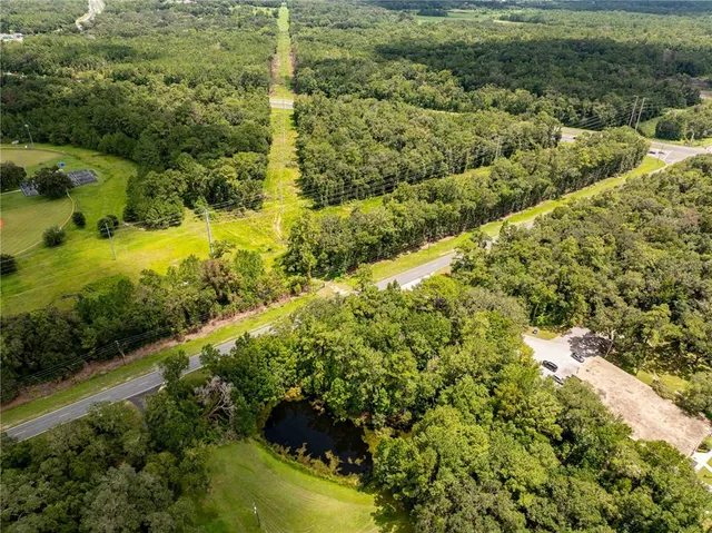 a view of a garden with plants and large trees