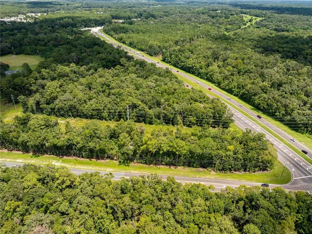 a view of a garden with an outdoor space