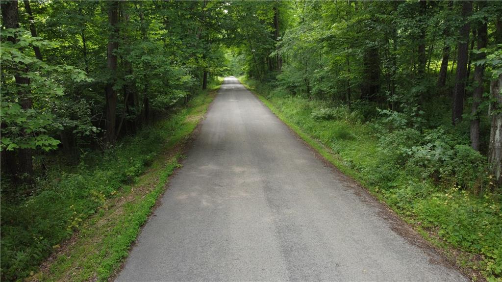 0 Greenlee Road Polk, PA 16342 - Photo 1 of 4 a view of a pathway both side of green forest