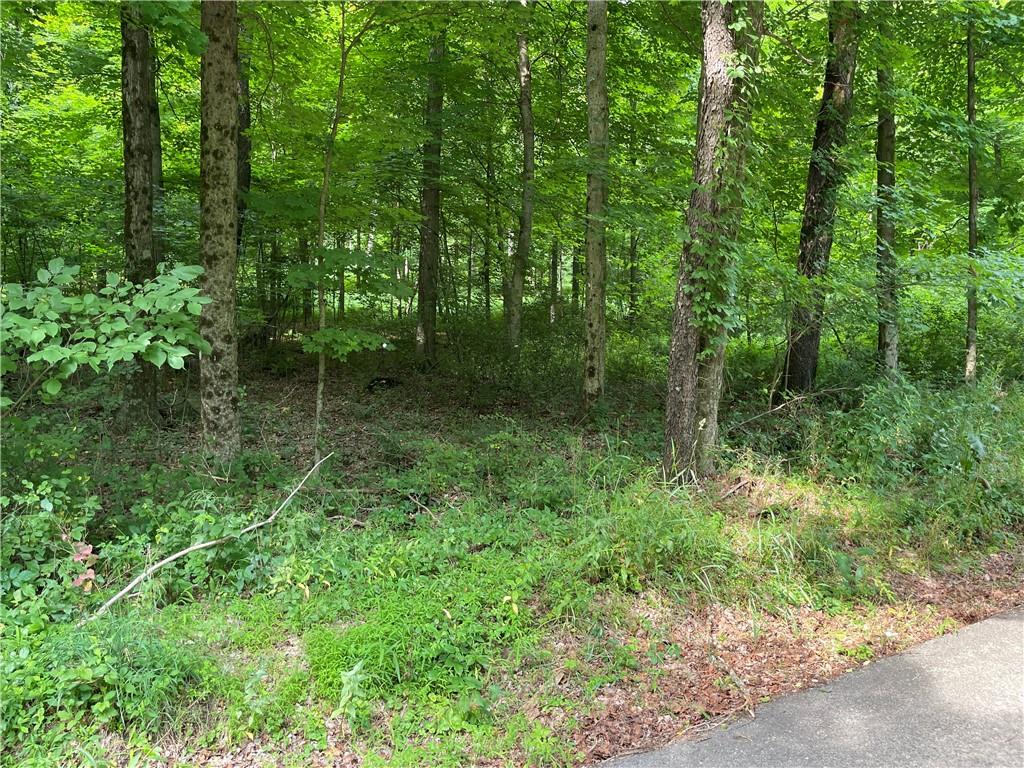 0 Greenlee Road Polk, PA 16342 - Photo 2 of 4 a view of outdoor space and green space