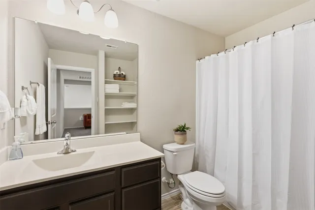 a bathroom with a sink a toilet and shower curtain