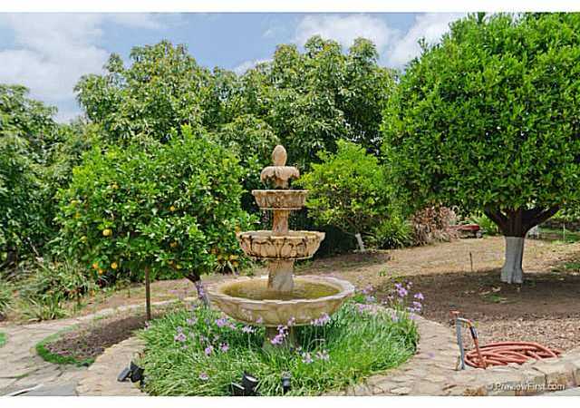 530 Georgine Road Fallbrook, CA 92028 - Photo 3 of 25 Orchard includes 70 avocados, and family fruit trees;Navel and Valencia Oranges, Tangelo, Tangerine, Lemon, Lime, Grapefruit, Apples, Fig, Peach, Apricot, Plum.