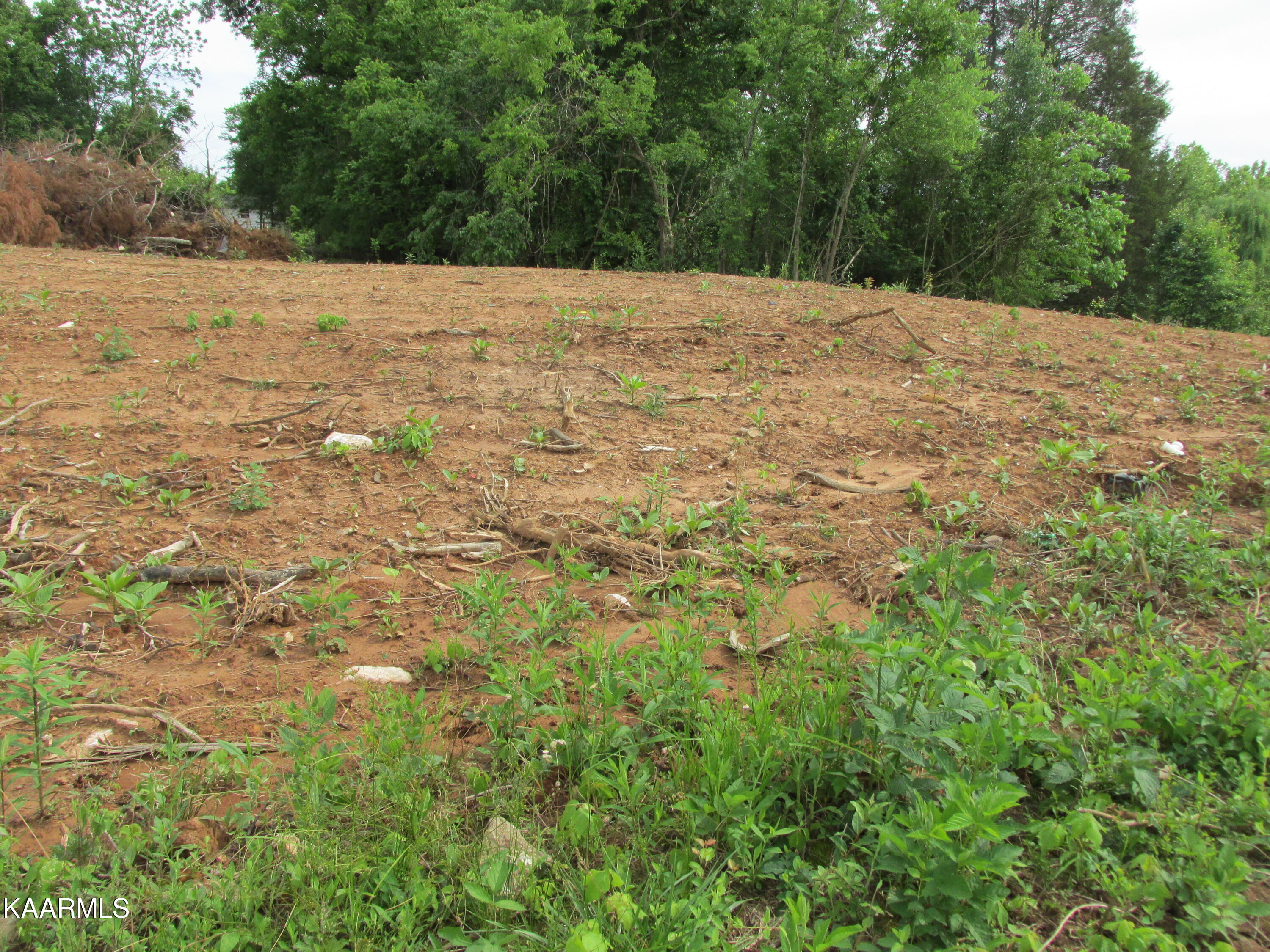 Meadow Road West Greenback, TN 37742 - Photo 1 of 10 Meadow Rd W, 2 Acres
