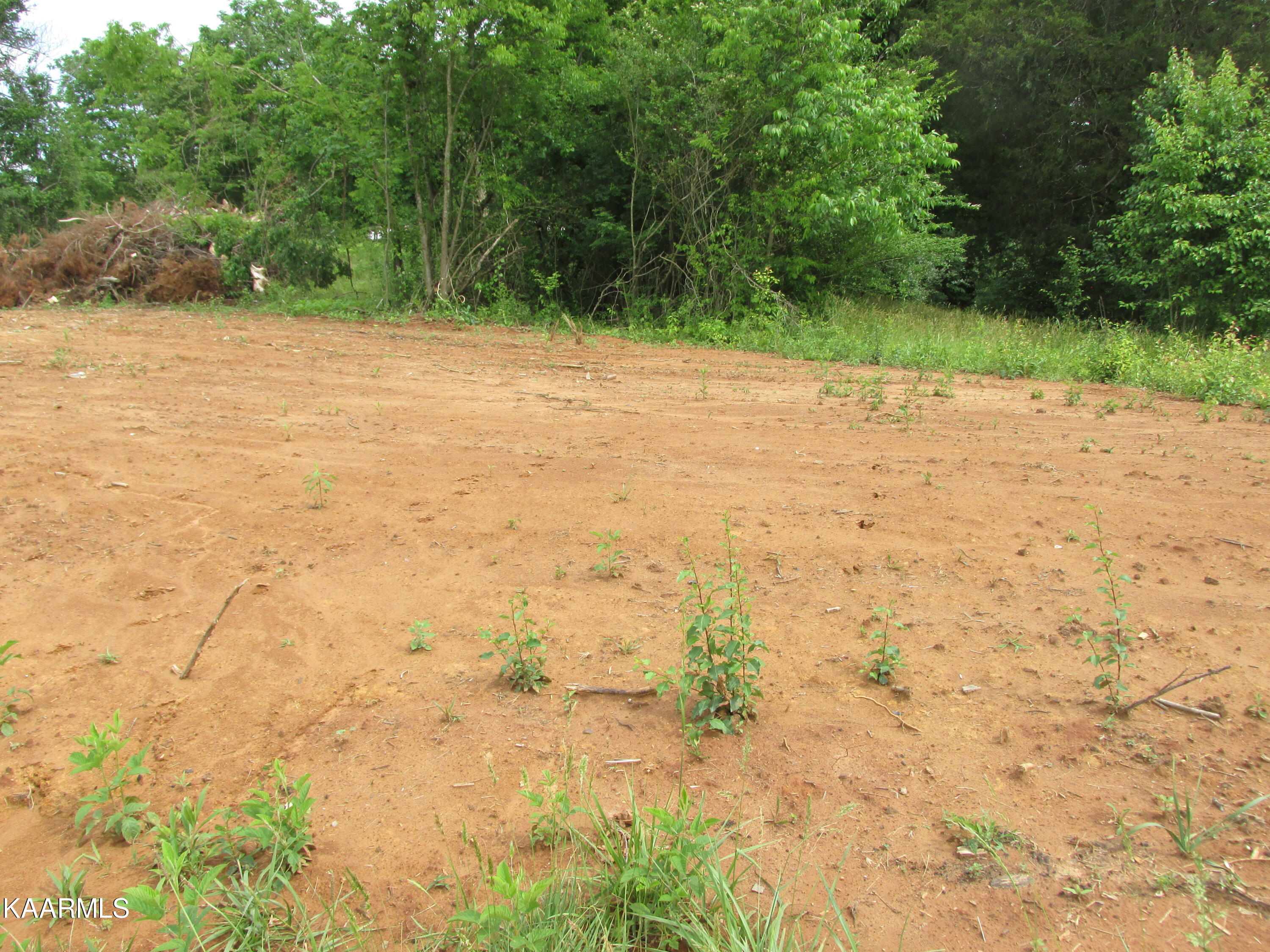 Meadow Road West Greenback, TN 37742 - Photo 4 of 10 IMG_3881