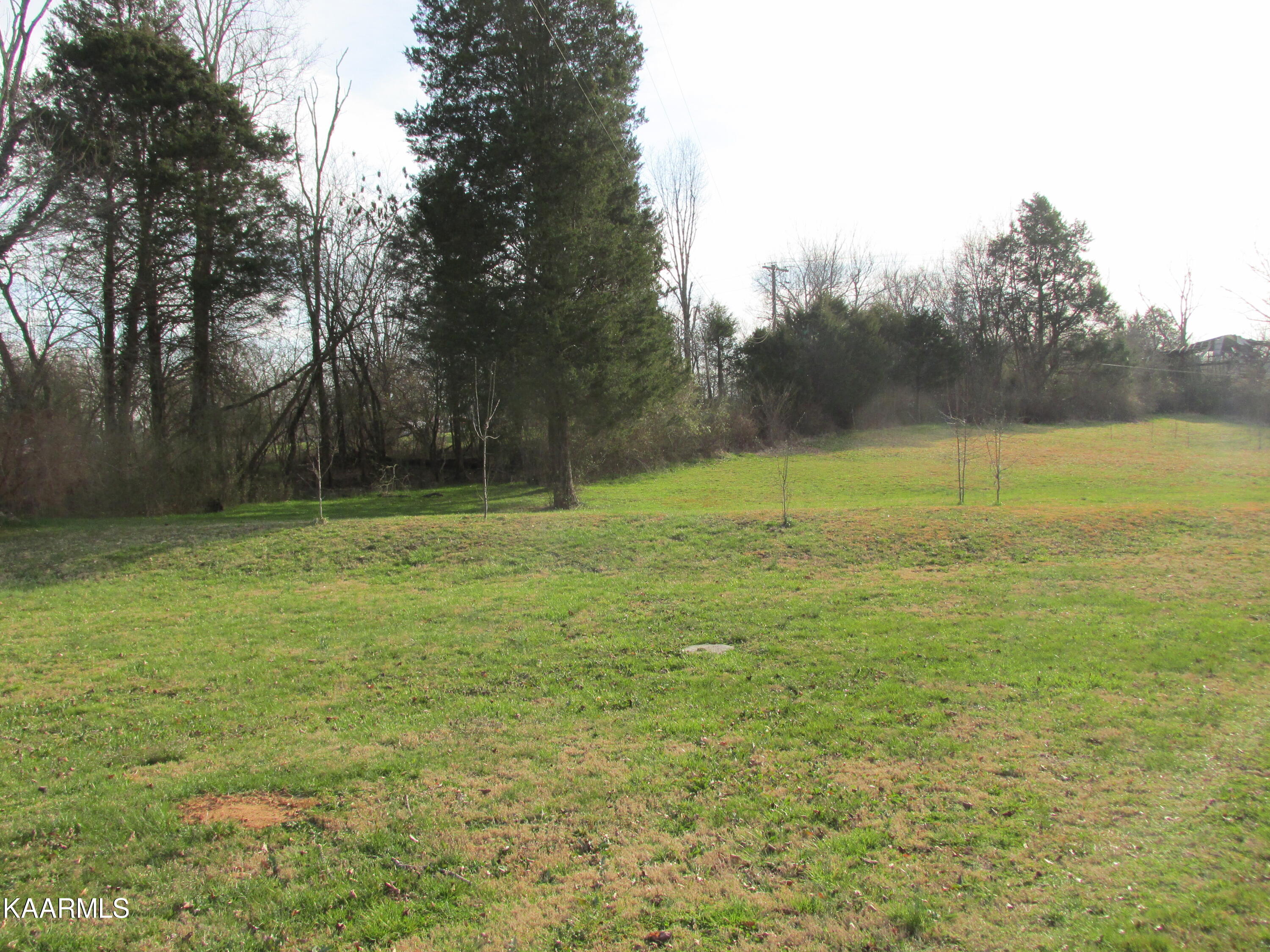 Meadow Road West Greenback, TN 37742 - Photo 7 of 10 IMG_3716