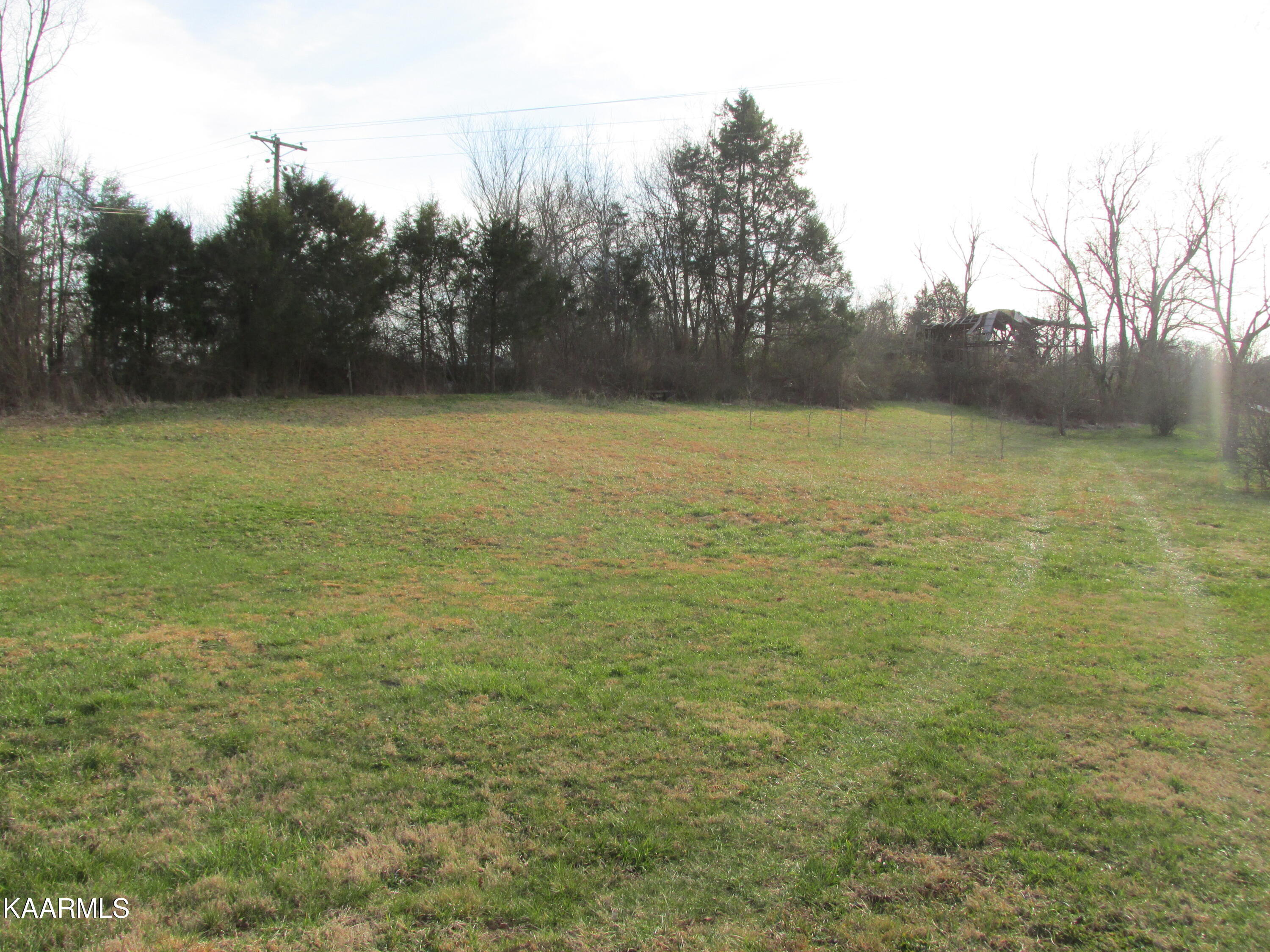 Meadow Road West Greenback, TN 37742 - Photo 8 of 10 IMG_3717