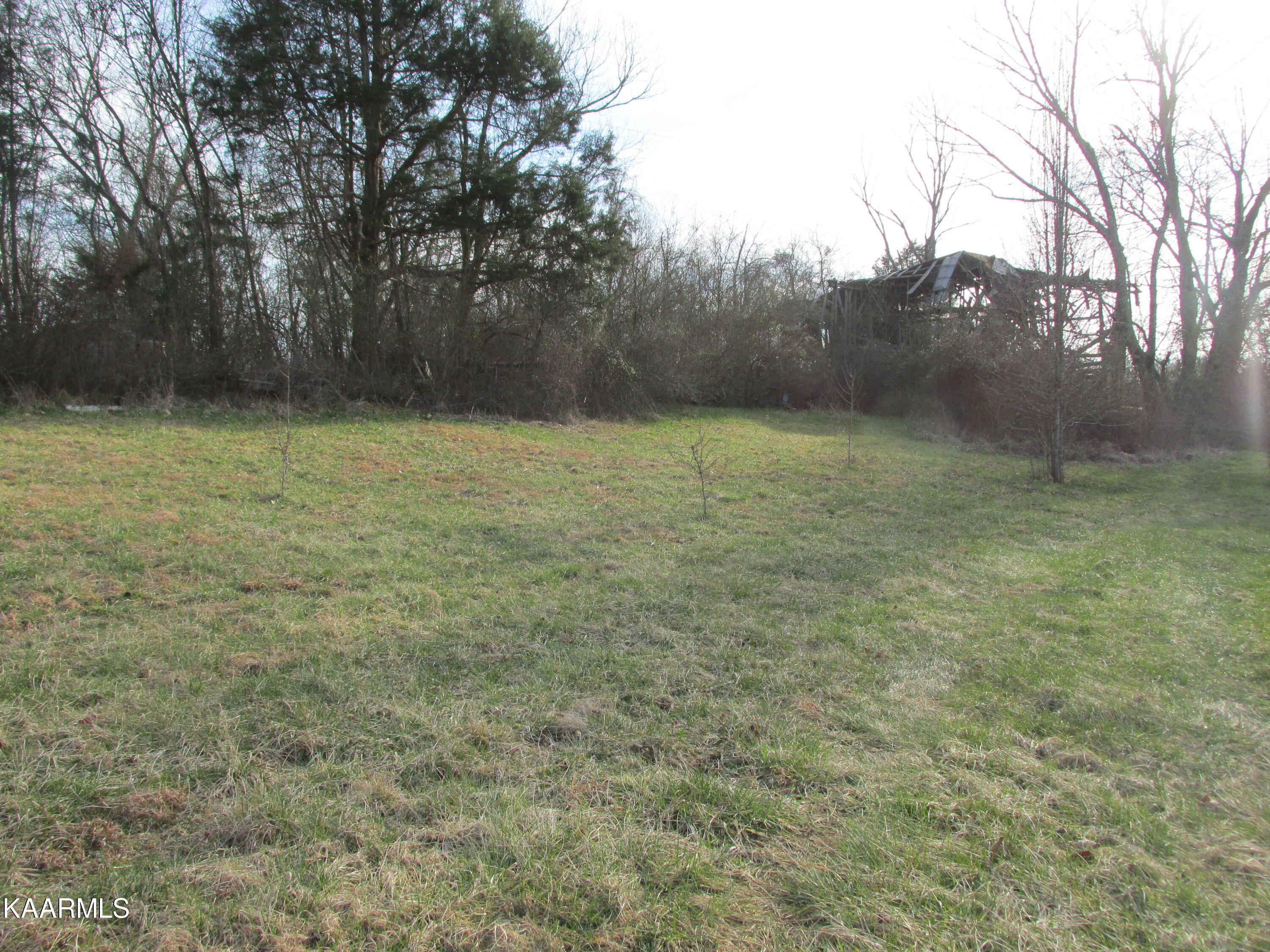 Meadow Road West Greenback, TN 37742 - Photo 9 of 10 IMG_3718