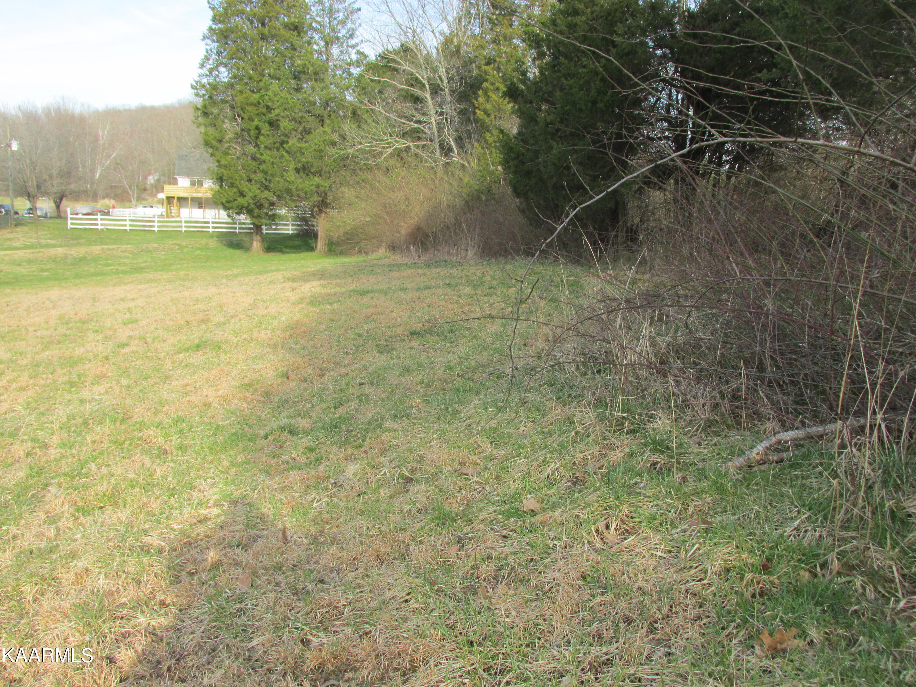 Meadow Road West Greenback, TN 37742 - Photo 10 of 10 IMG_3720