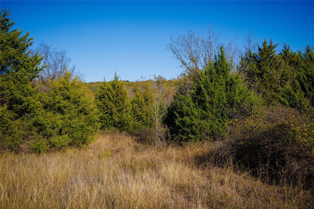 4 Lazy E Road St. Jo, TX 76265 - Photo 11 of 21 a view of a yard next to a lake