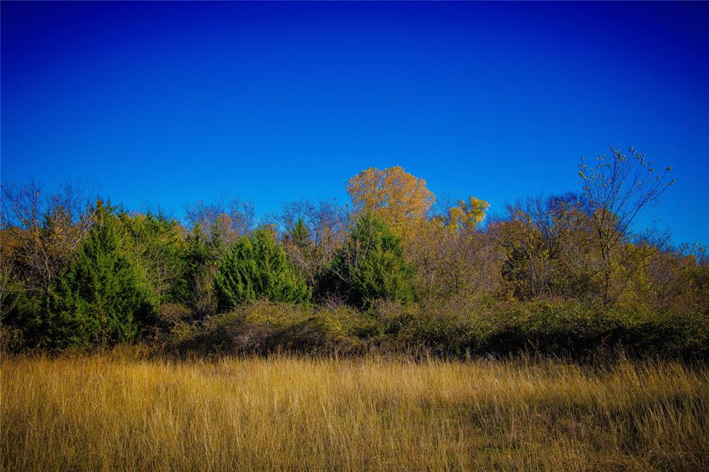 4 Lazy E Road St. Jo, TX 76265 - Photo 14 of 21 a view of a lake with a big yard