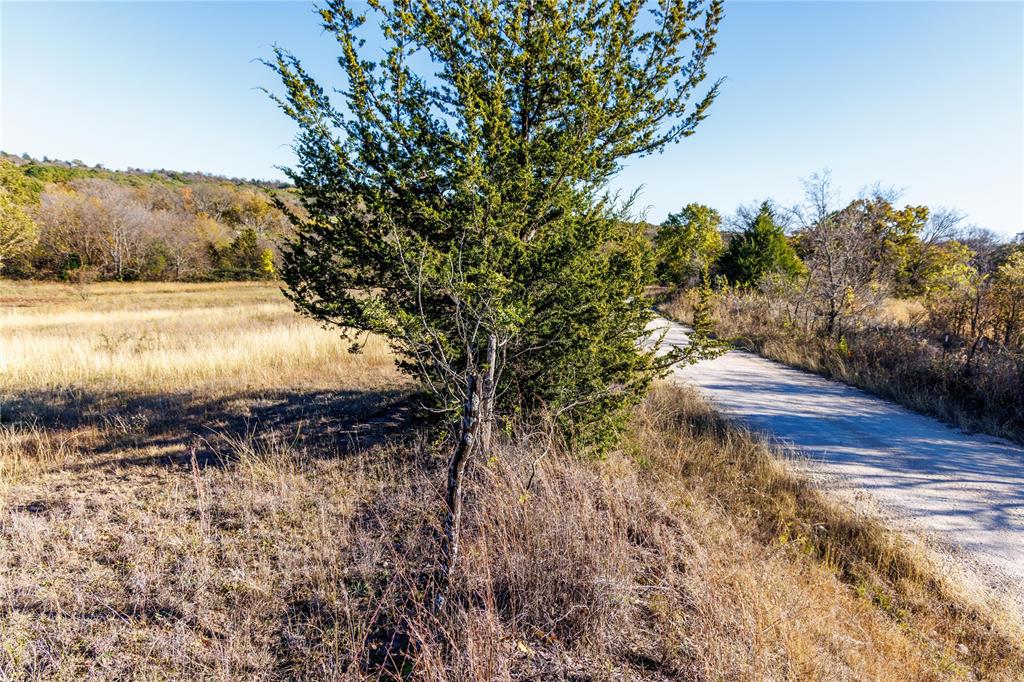 4 Lazy E Road St. Jo, TX 76265 - Photo 21 of 21 a view of a yard with an outdoor space