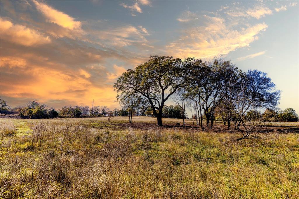 4 Lazy E Road St. Jo, TX 76265 - Photo 7 of 21 a view of dirt yard with large trees