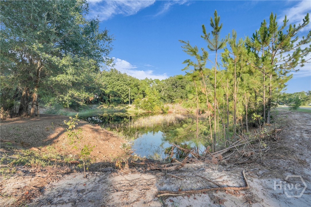 2028 Pearl Davis Road Allenhurst, GA 31301 - Photo 40 of 51 Gallery Image 40
