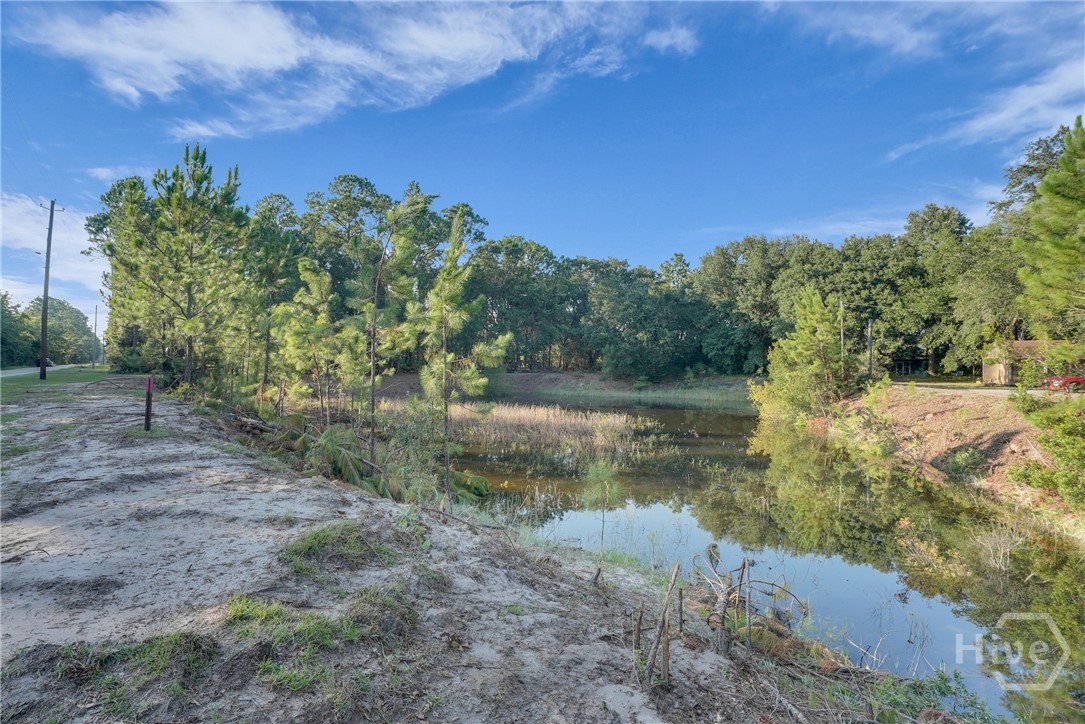 2028 Pearl Davis Road Allenhurst, GA 31301 - Photo 41 of 51 Gallery Image 41
