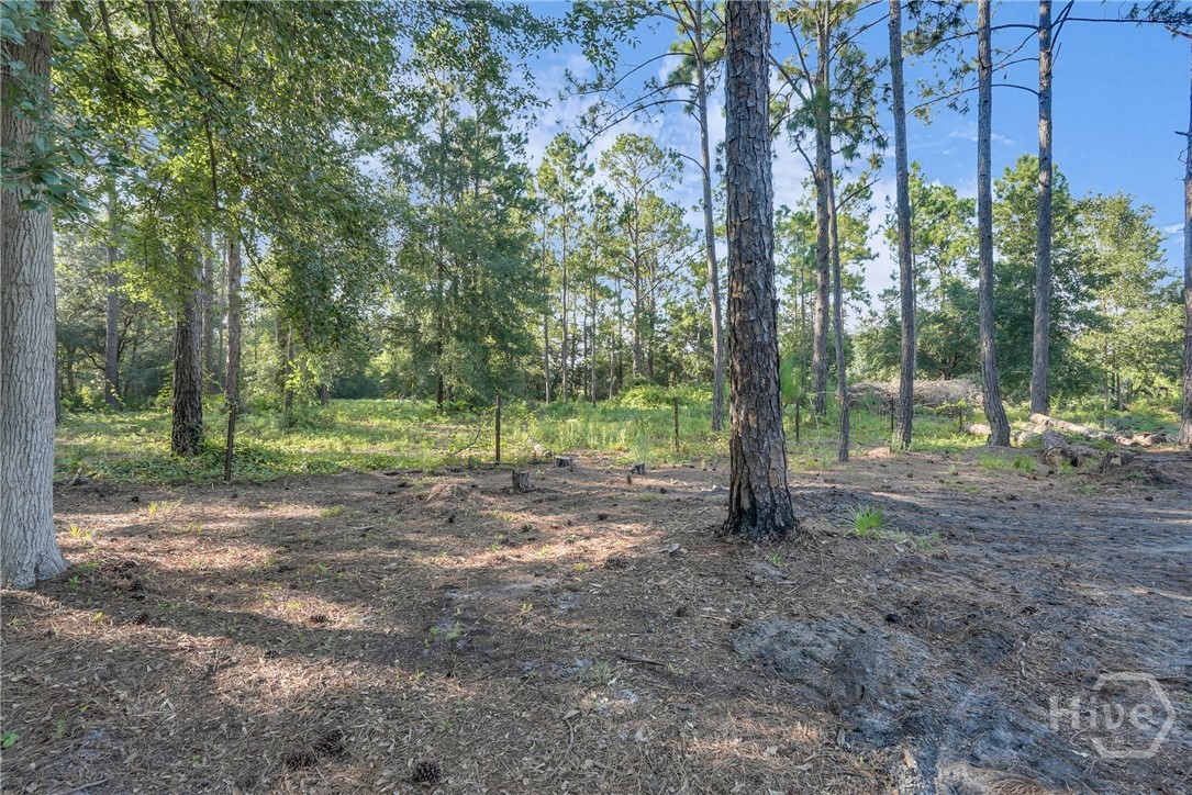 2028 Pearl Davis Road Allenhurst, GA 31301 - Photo 42 of 51 Gallery Image 42