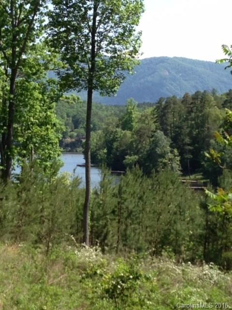 Lot 2 Parkway North None Mill Spring, Unit NONE Mill Spring, NC 28756 - Photo 2 of 8