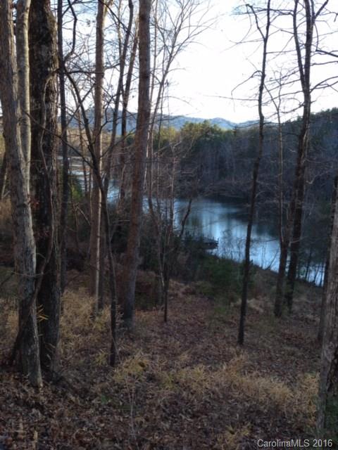 Lot 2 Parkway North None Mill Spring, Unit NONE Mill Spring, NC 28756 - Photo 3 of 8