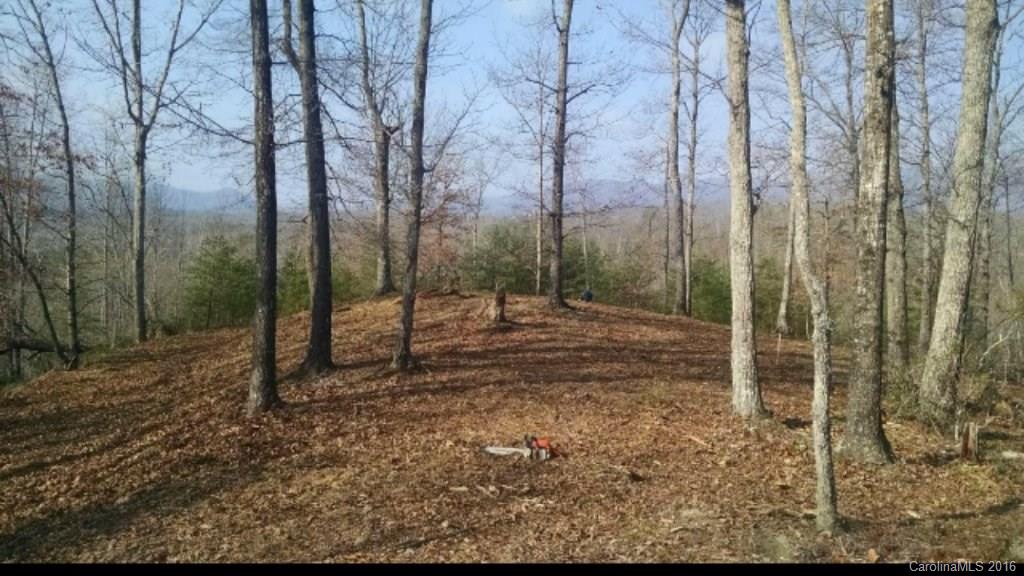 Lot 2 Parkway North None Mill Spring, Unit NONE Mill Spring, NC 28756 - Photo 4 of 8