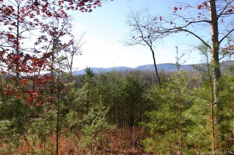 Lot 2 Parkway North None Mill Spring, Unit NONE Mill Spring, NC 28756 - Photo 5 of 8