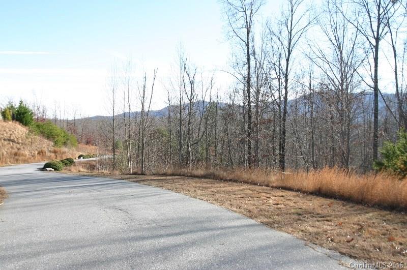 Lot 2 Parkway North None Mill Spring, Unit NONE Mill Spring, NC 28756 - Photo 6 of 8