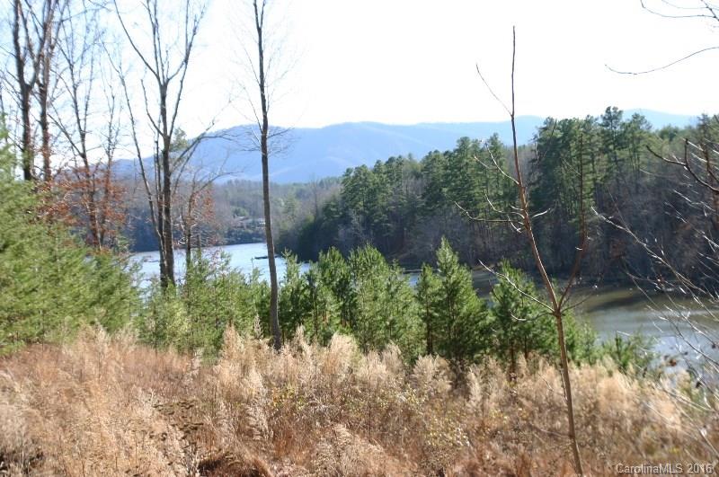Lot 2 Parkway North None Mill Spring, Unit NONE Mill Spring, NC 28756 - Photo 8 of 8
