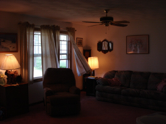 7357 Junction Road Davis Junction, IL 61020 - Photo 3 of 6 a living room with furniture and a lamp