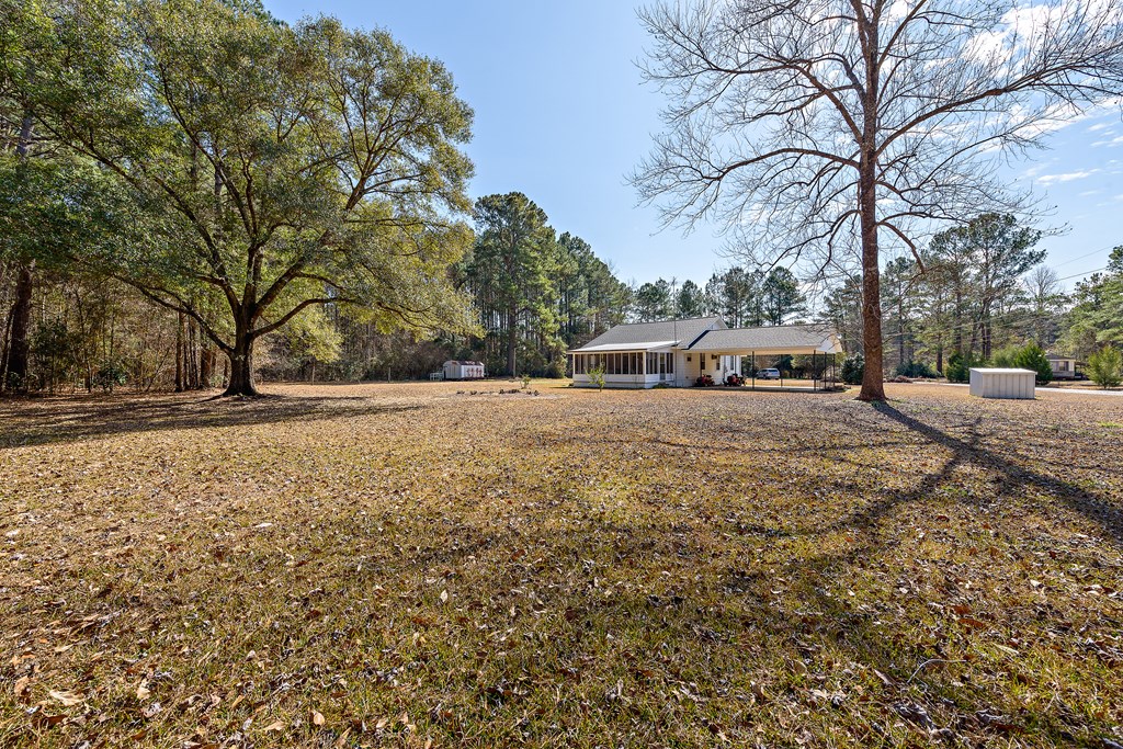 311 Faith Road Hartford, AL 36344 - Photo 3 of 31