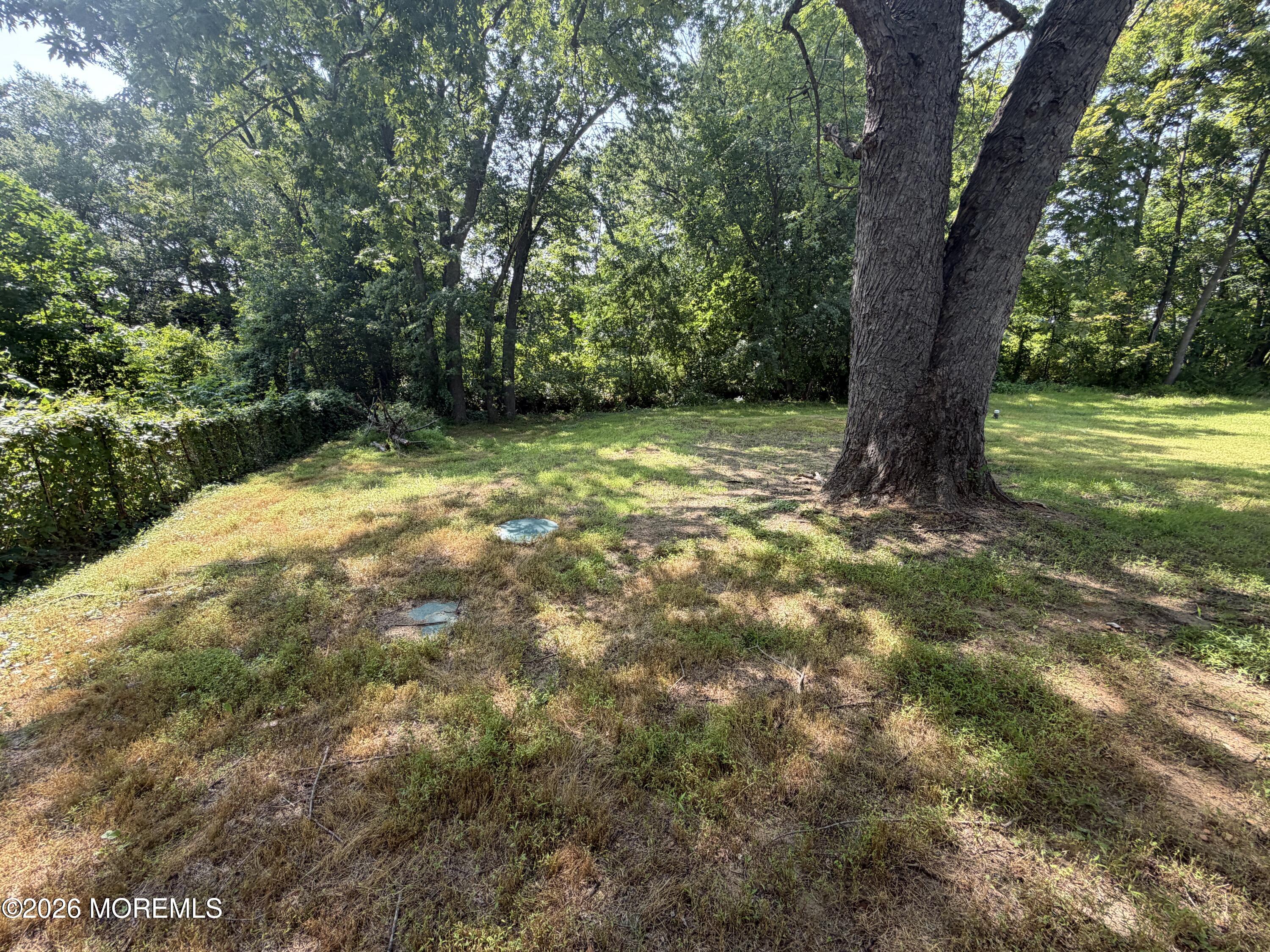 61 Imlaystown Road Cream Ridge, NJ 08514 - Photo 4 of 14 IMG_1879