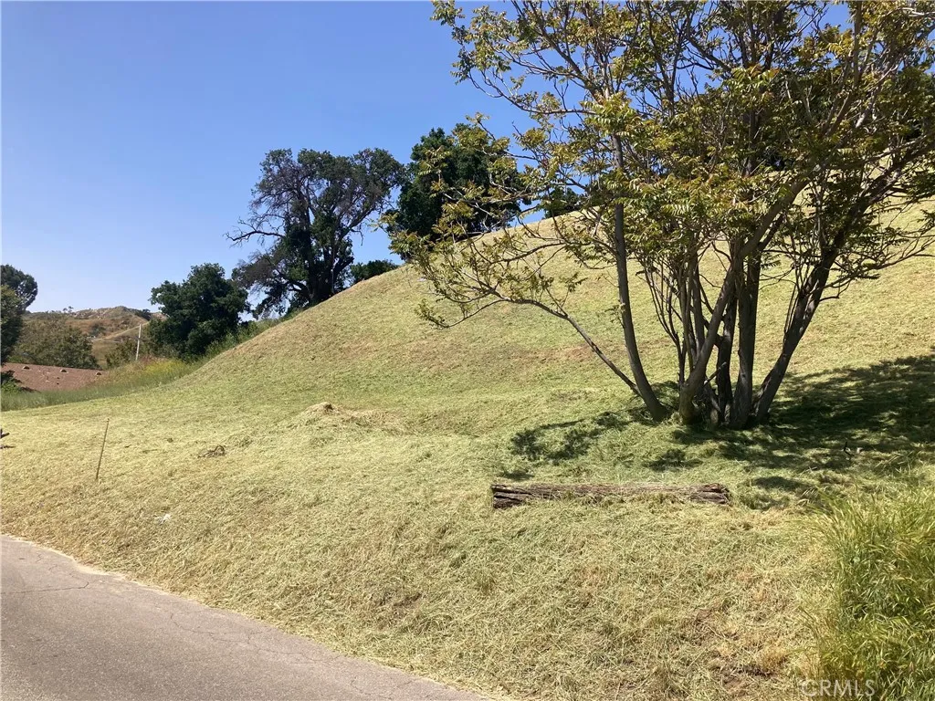 15 Driver Val Verde, CA 91384 - Photo 2 of 15 a view of a yard with large trees