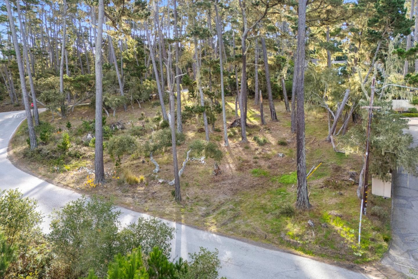 2901 Bird Rock Road Pebble Beach, CA 93953 - Photo 12 of 13 a view of a garden