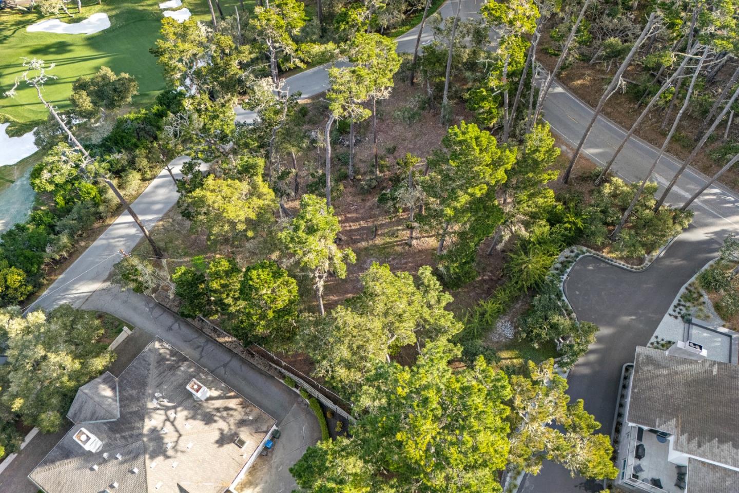 2901 Bird Rock Road Pebble Beach, CA 93953 - Photo 6 of 13 a view of a garden with flowers