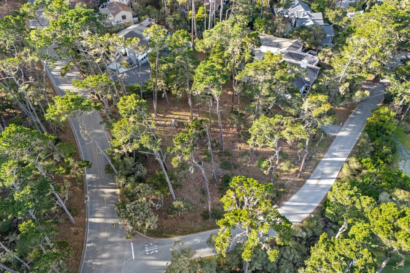 2901 Bird Rock Road Pebble Beach, CA 93953 - Photo 9 of 13