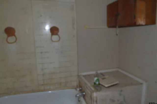 a bathroom with a sink and a shower