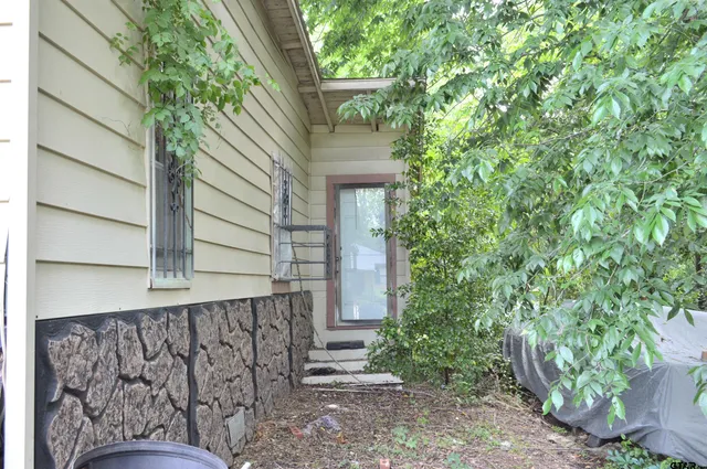 a view of a garden with a tree