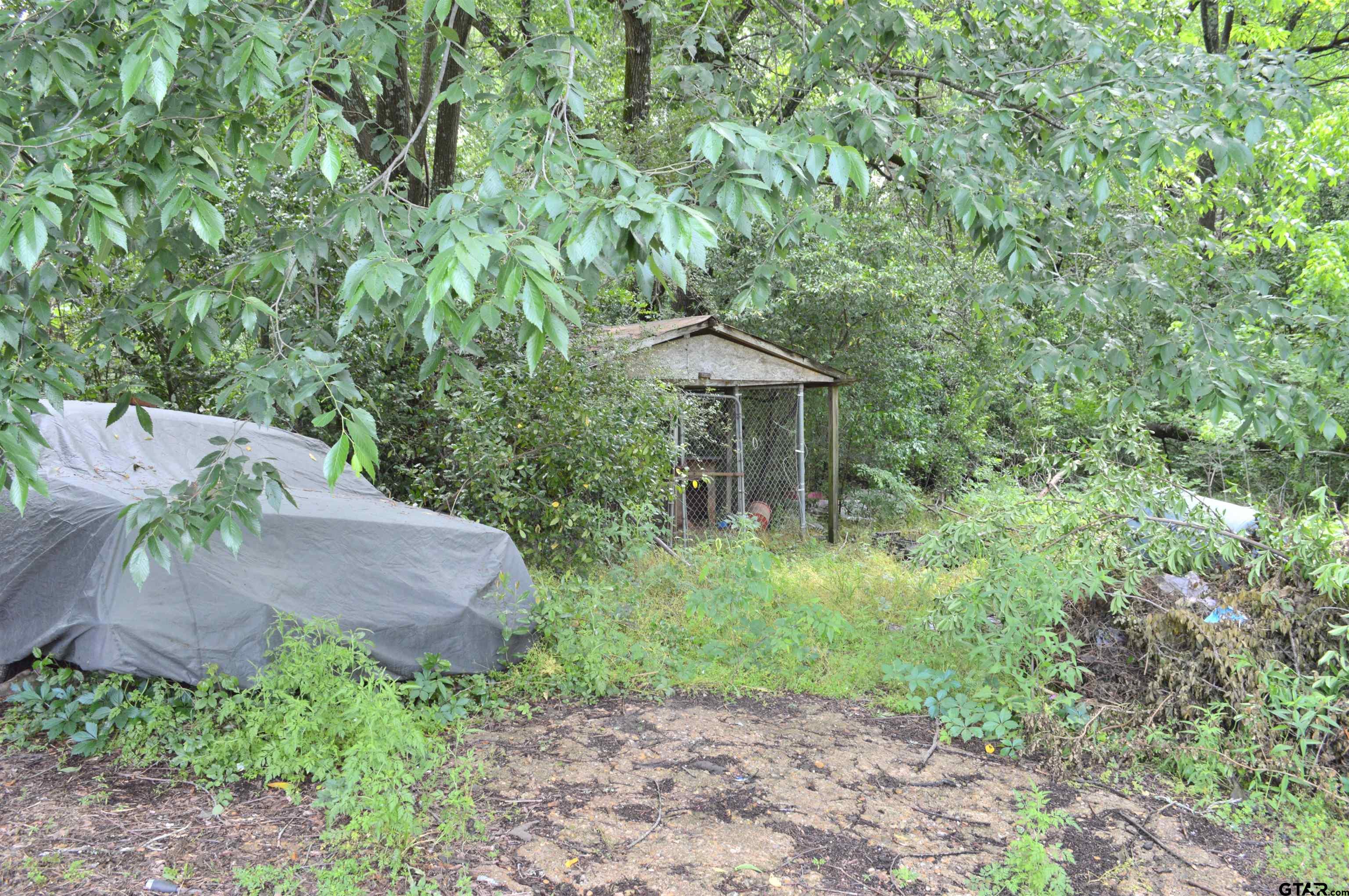 3210 Bellwood Road Tyler, TX 75701 - Photo 6 of 18 a view of a garden with a tree