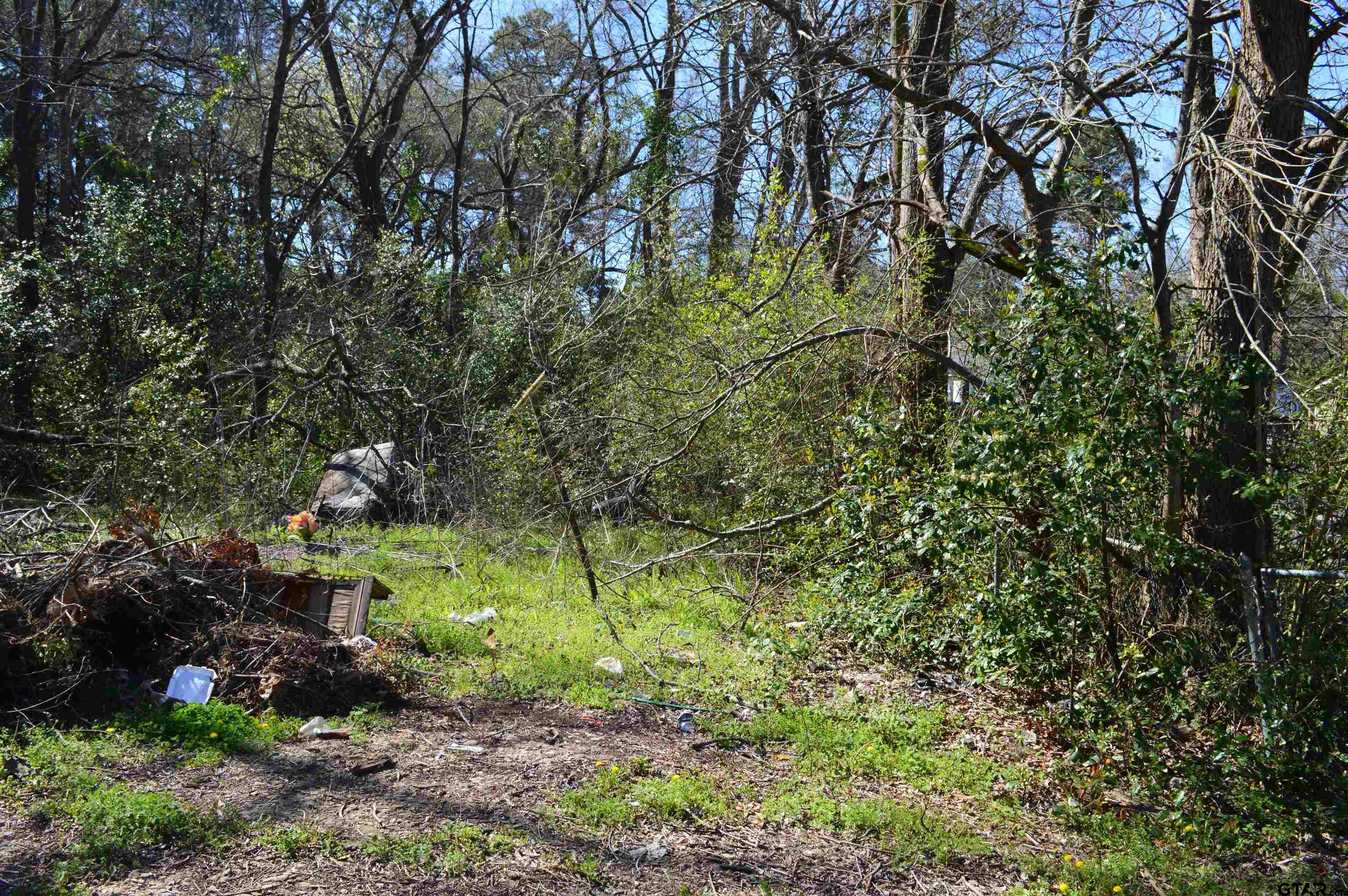 3210 Bellwood Road Tyler, TX 75701 - Photo 7 of 18 a backyard of a house with lots of green space