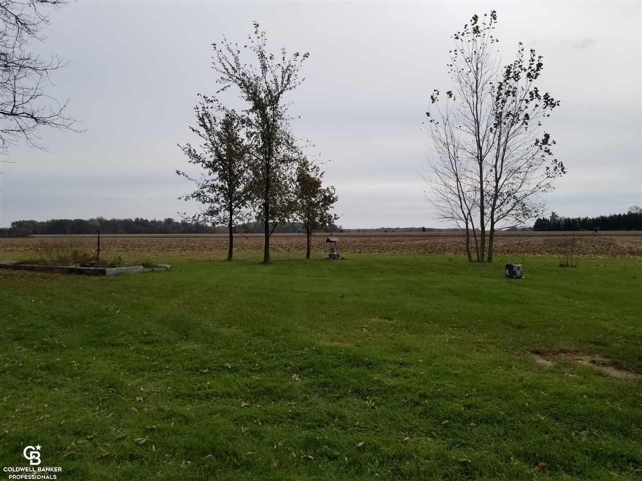 8439 Bricker Road Yale, MI 48097 - Photo 26 of 29