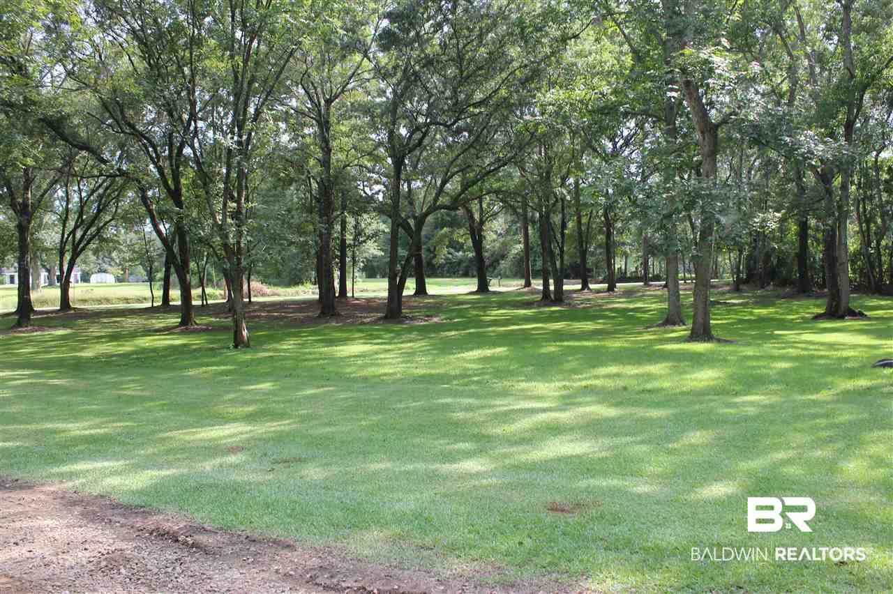 25299 Coopers Cemetery Road Robertsdale, AL 36567 - Photo 6 of 24 Front Acreage