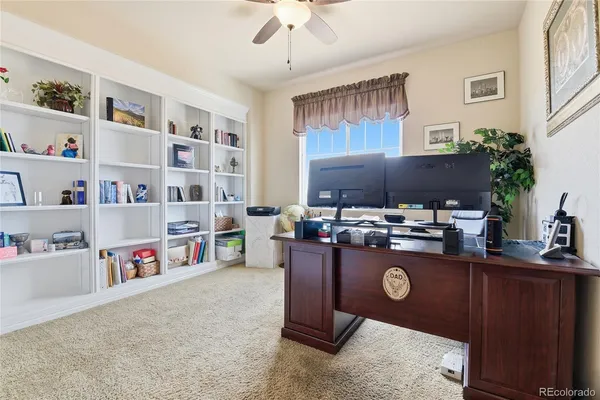 a living room with a bed furniture and a window